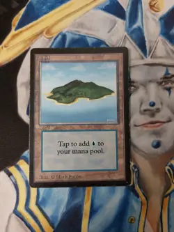 Island MTG Limited Edition Beta Common Land Heavily Played x1 CD4 - Image 2