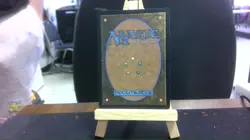 funeral room awakening hall borderless mtg - Image 2