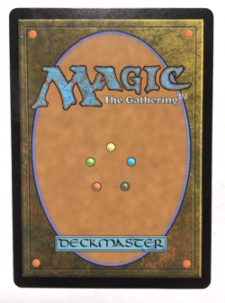 Seething Landscape 225 Modern Horizons 3 MH3 MTG Magic the Gathering NM - Image 2