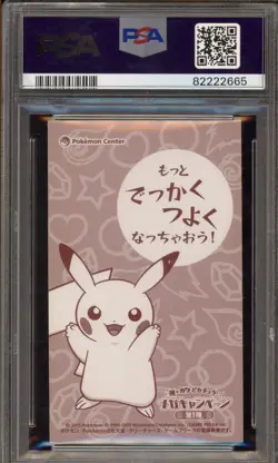 Pokemon Poncho-Wearing Pikachu M Charizard Y Business Card Japanese Promo PSA 9 - Image 2