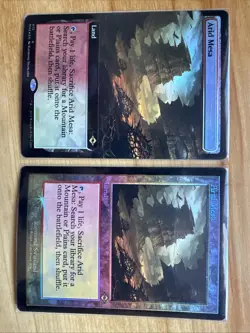 2x Arid Mesa (1x Borderless Foil 1x Retro Foil) - Image 1