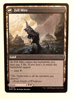 MTG - Fell the Profane / Modern Horizons 3 / Regular / NM - Image 2