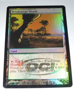MTG - FOIL - Windswept Heath - Judge Reward Promo - LP - Image 1