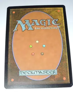 MTG - FOIL - Windswept Heath - Judge Reward Promo - LP - Image 2