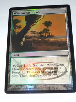 MTG - FOIL - Windswept Heath - Judge Reward Promo - NM - Image 1