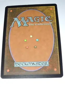 MTG - FOIL - Windswept Heath - Judge Reward Promo - NM - Image 2