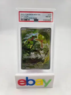 Pokemon TCG Caterpie Illustration Rare 172/165 Scarlet & Violet 151 PSA 8 - Image 1