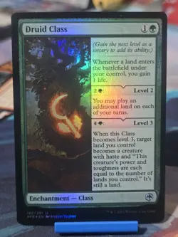 Druid Class Adventures in the Forgotten Realms Foil - Image 1
