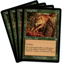 x4 Young Wolf (Retro Frame) - Innistrad Remastered - MTG - NM/M - Image 1