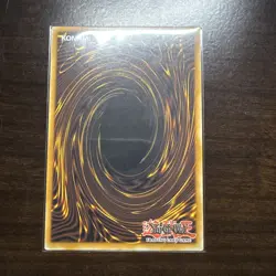 Yugioh! Dracotail Phryxul - DOOD-EN023 - Secret Rare 1st Edition Pack Fresh, En - Image 2