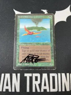 Beta Birds Of Paradise Signed By Mark Poole x1 MTG - Image 1
