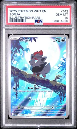 2025 POKEMON WHT EN-WHITE FLARE ILLUSTRATION RARE #142 ZORUA PSA 10 - Image 1