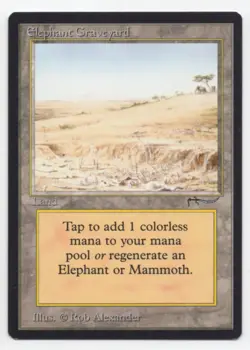 MTG: Magic Arabian Nights - Elephant Graveyard - Image 1