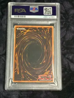 PSA 7 NM Dark Magician Girl RDS-ENSE2 Ultra Rare Promo *2480 Yugioh - Image 3