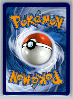 Pokemon TCG, Scarlet & Violet, Paldean Fates Skwovet 205/091 Rare Shiny NM - Image 2