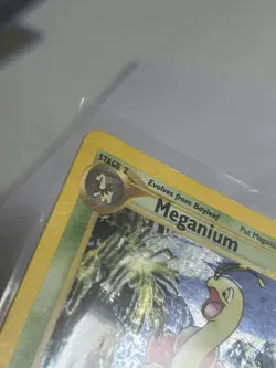 Pokemon TCG Meganium Neo Genesis Holo Rare Card #11/111 MP Condition - Image 3