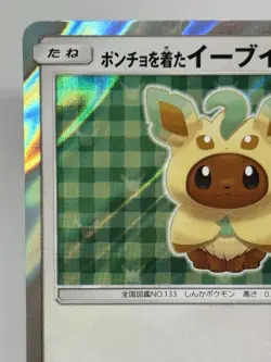 Poncho Wearing Eevee 142/SM-P Eevee Mega Campaign Promo 2017 Holo Pokemon Card - Image 2