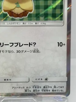 Poncho Wearing Eevee 142/SM-P Eevee Mega Campaign Promo 2017 Holo Pokemon Card - Image 5