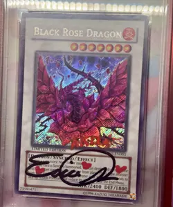 2008 Black Rose Dragon YU-GI-OH! Wave 2 EN003 PSA 8 Erica Schroeder AUTO 10 - Image 2