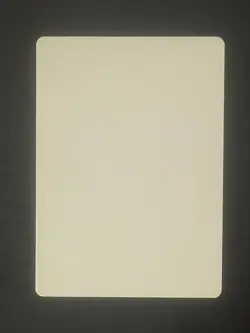 Magic MTG Italian Revised Aspect of Wolf Artist Proof Near Mint - Only 50 Exist! - Image 2