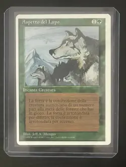 Magic MTG Italian Revised Aspect of Wolf Artist Proof Near Mint - Only 50 Exist! - Image 3