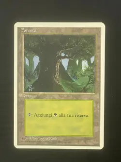 Magic MTG Italian Revised Forest Artist Proof Near Mint - Only 50 Exist! - Image 1