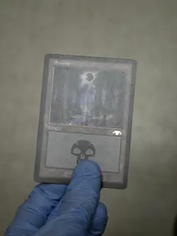 Magic the Gathering: Swamp - Guru Land Promo (VG+) - Image 4