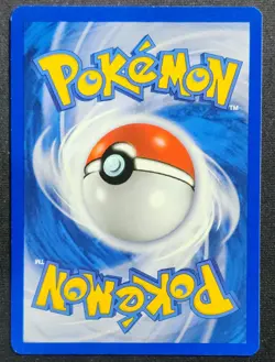 2000 Neo Genesis Ledyba 63/111 1st Edition Wotc Vintage Pokemon Card - Image 2