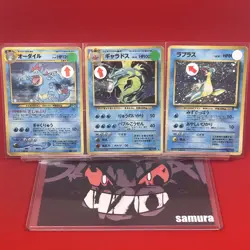 3set Junk~EX) Pokemon Card Old-Back Era Special Set Japanese Feraligatr Gyarados - Image 1