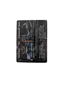 Funeral Room Awakening Hall (Borderless) Duskmourn: House of Horror Regular - Image 1