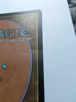 MTG Boseiju Who Shelters All (CHK) Champions Of Kamigawa Regular Rare 271/306 - Image 4