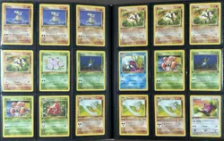 Pokemon Vintage Card Collection Lot Binder 66x Holos, Shining Raichu, WOTC, ex's - Image 5