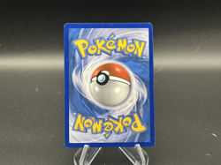 Team Magma's Numel - 1/34 Double Crisis - Pokemon TCG - 2015 - Image 2