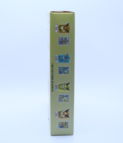 US Seller Pokemon TCG Chinese Nine Colors Gathering Eevee Card Case Gift Box - Image 2