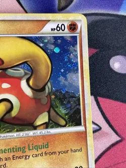 SHUCKLE Heart Gold & Soul Silver Promos POKEMON Holo 2010 Trading Card HGSS15 - Image 4