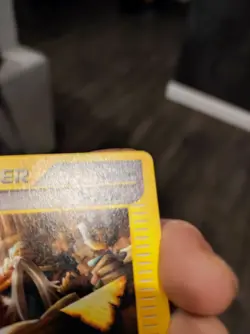 Pokemon TCG Trainer Supporter Oracle Skyridge e-card 138/144 uncommon 2003 NM - Image 5