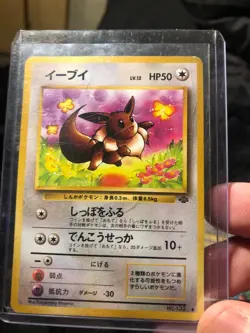 Pokemon Vintage Lot 1997-2000 - 8 Holo/Non-Holo - PSA 9-10 Candidates - Image 3