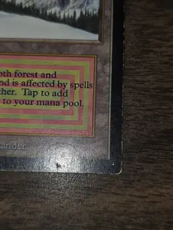 MTG Magic The Gathering - Taiga - Collectors Edition - MP - Image 2