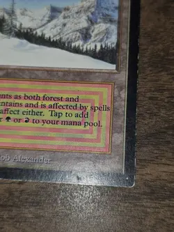 MTG Magic The Gathering - Taiga - Collectors Edition - MP - Image 3