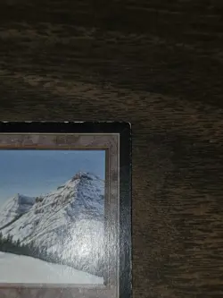 MTG Magic The Gathering - Taiga - Collectors Edition - MP - Image 4