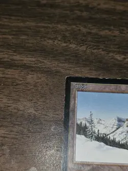 MTG Magic The Gathering - Taiga - Collectors Edition - MP - Image 5