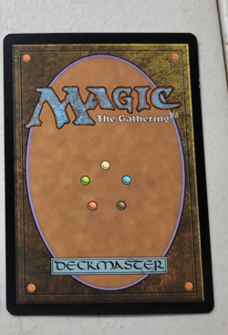 x1 MTG Moorland Haunt Innistrad 244/264 Regular Rare LP Free Shipping - Image 2