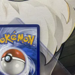 Pokemon Eevee SVP 173 Illustration Rare Promo Card - Image 4