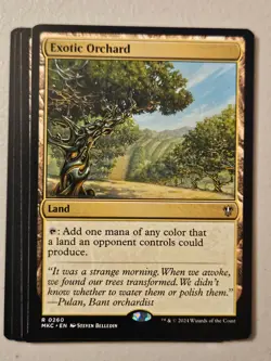 MTG | Exotic Orchard (x4 Playset) | (NM) Commander: Karlov Manor - Image 1