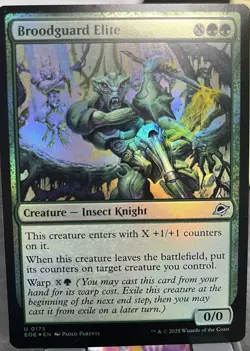 Broodguard Elite - Foil Light Play, English Magic the Gathering MTG Edge of Eter - Image 1