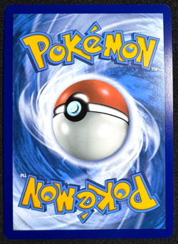 POKEMON TCG CLIVE 236/097 PALDEAN FATES SIR SPECIAL ILLUSTRATION RARE HOLO NM - Image 4