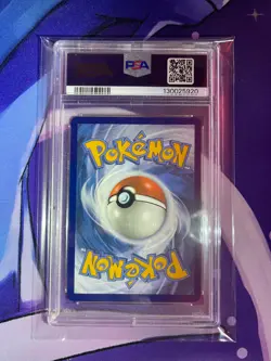 Squirtle 148/142 Pokemon Stellar Crown Illustration Rare PSA 10 - Image 2
