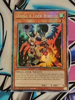 DROLL & LOCK BIRD 1ST ED COLLECTOR RARE RA02-EN006 YUGIOH! - Image 1
