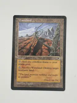 Wasteland Tempest Regular LP MTG - Image 1