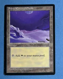 Snow-Covered Plains Ice Age Regular - Image 1